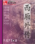 西厢外传