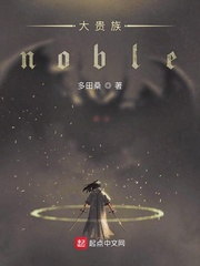 大贵族noble