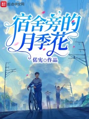 宿舍旁的月季花