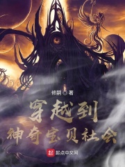 口袋妖怪的社会