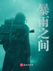 暴雨之间