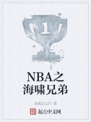 NBA之海啸兄弟小说封面