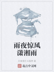 雨夜惊风潇湘雨