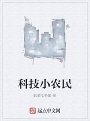 科技小农民小说封面