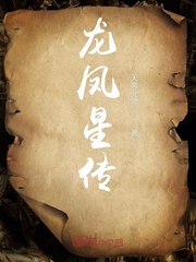 龙凤星传