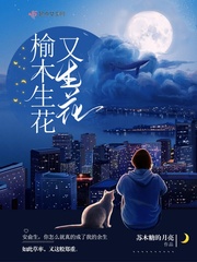 经纪人小姐你露馅了