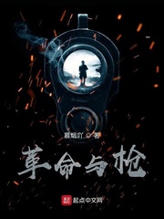 革命与枪