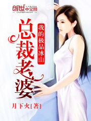 我的极品冰山女总裁人物介绍