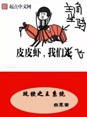 玩梗之王系统