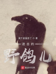 进击的野鸽儿