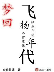 梦回飞扬年代小说封面