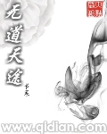 无道天途小说封面