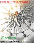 妖精尾巴的镜之魔导士