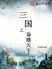 三国之枭雄天下小说封面