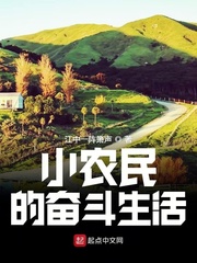 小农民的奋斗生活
