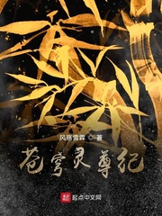 苍穹灵尊纪