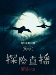 我的探险直播