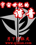 高达vs z高达