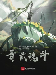 青武魂斗