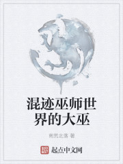 混迹巫师世界的大巫小说封面