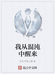 我从混沌中醒来