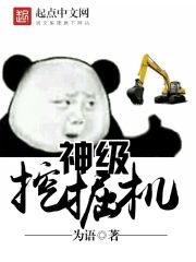 神挖挖掘机价格表