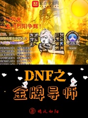 DNF之金牌导师小说封面