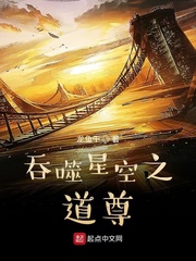 吞噬星空之道尊小说