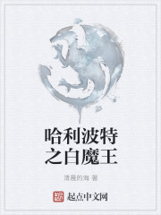 哈利波特之白魔王