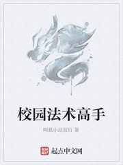 校园魔法师小说