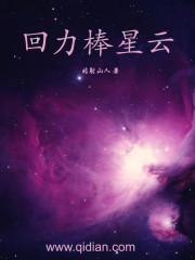 回力棒星云小说