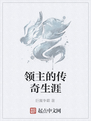 领主的传奇生涯