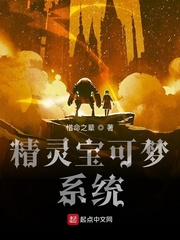 精灵宝可梦系统