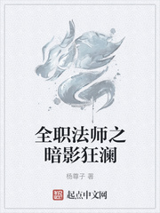 全职法师之暗影狂澜小说封面