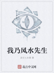 我乃风水先生