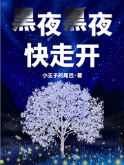 黑夜黑夜快走开小说封面