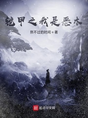 铠甲之我是恶木