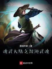 魂武大陆之混沌武魂