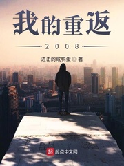 我的重返2008小说封面