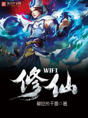 wifi修仙小说封面