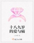 十八九岁的爱与痛