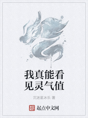 我真能看见灵气值