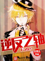 Fate：逆反之轴小说封面