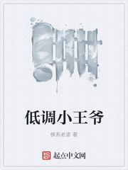 低调小王爷