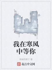 我在寒风中等你