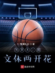 NBA：我，文体两开花小说封面