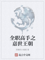 全职高手之嘉世王朝