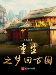 重生之梦回2009