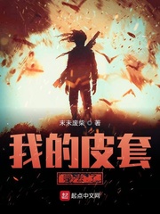 我只是皮套演员