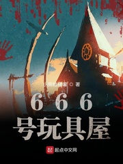 666号玩具屋小说封面